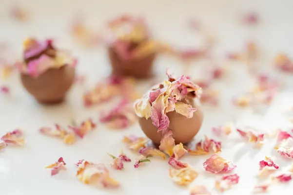 Bet9 Kaszinó Android/iOS Alkalmazás